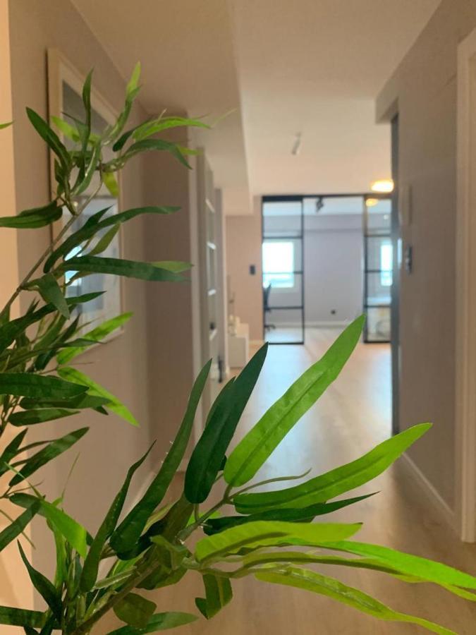 Espectacular Loft Lleno De Luz Y Espacio! Zaragoza Ngoại thất bức ảnh